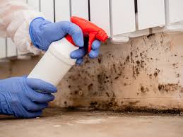 Best HVAC Mold Inspection and Cleaning  in Houserville, PA